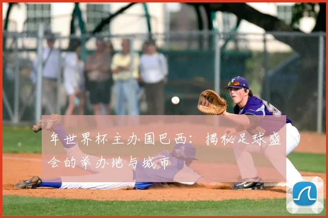 年世界杯主办国巴西:揭秘足球盛会的举办地与城市